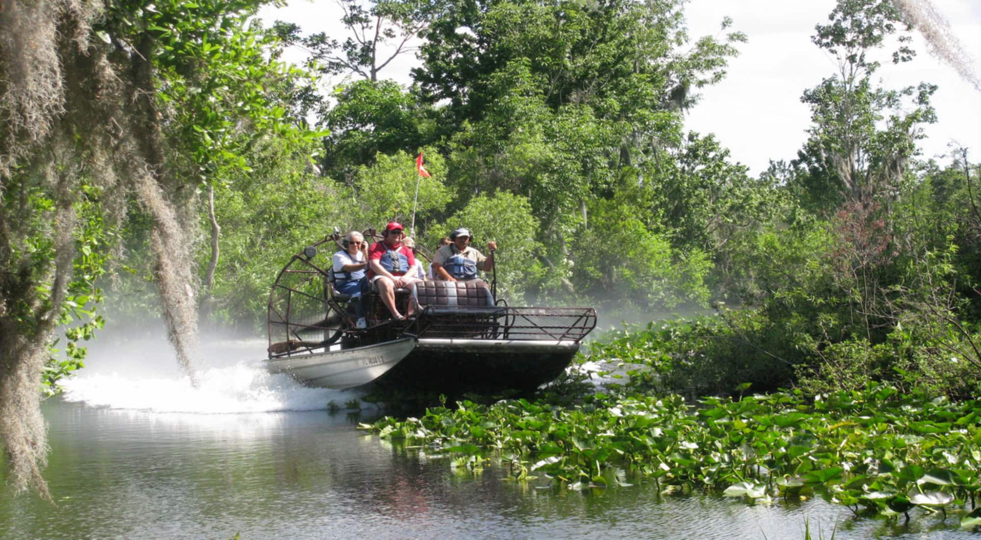 Group on airboat going over water and green plants with Captain Fred's Airboat Nature Tours
