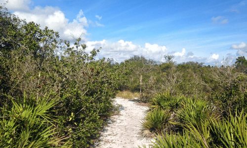 sandy scrub hiking trail at Crooked Lake Prairie in Babson Park, FL