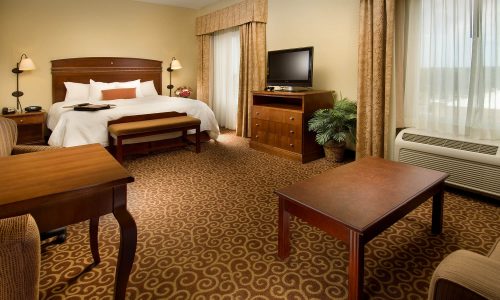 King suite at Hampton Inn & Suites Lakeland South-Polk Parkway