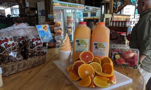 Soft serve ice cream, orange and tangerine juice, pecans, oranges and strawberries at Ridge Island Groves. Florida Citrus Makes a Great Christmas Gift