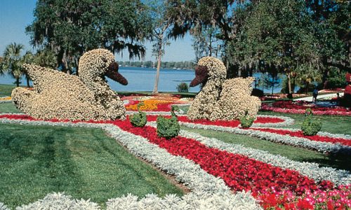 Cypress Gardens: Florida’s 1st Tourist Attraction