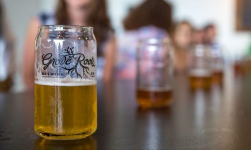 pints of beer at Grove Roots Brewing Co. in Winter Haven, FL