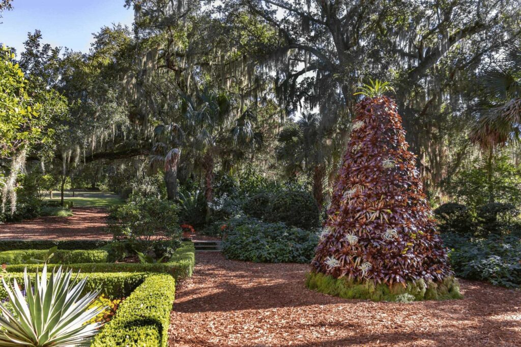 Bromeliad Christmas tree created for Holidays at Bok Tower Gardens in Lake Wales